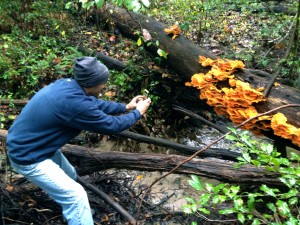 Chef Eric Garcia Discovers Chicken of the Woods